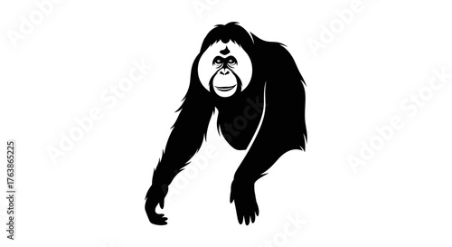 Orangutan Silhouette A Striking Primate Portrait in Black and White.