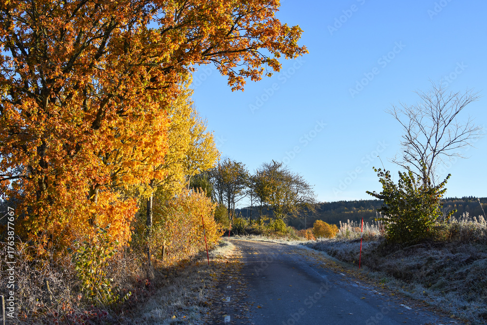 Obraz premium Cold autumn morning in Sweden