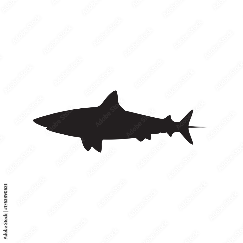 Fototapeta premium silhouette of a black shark swimming