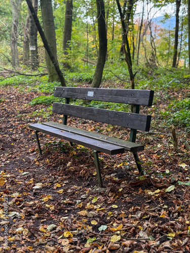 Wooden Bench in Forest Covered with Autumn Leaves