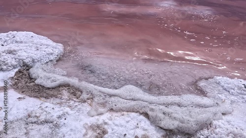 Kuialnyk Estuary, salt Sodium chloride crystallized on the bottom of a drying estuary
