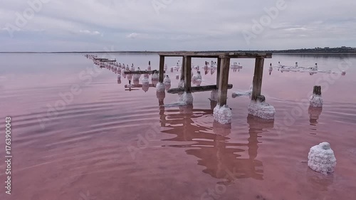 Kuyalnik Estuary, table salt crystallized on old wooden piles and on the bottom of a drying estuary