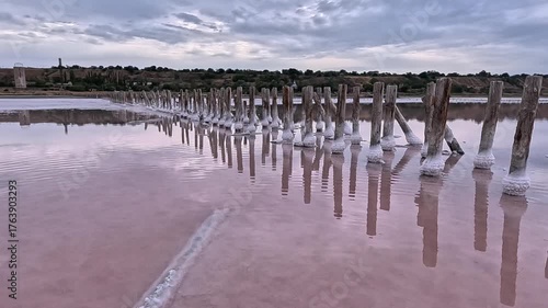 Kuyalnik Estuary, table salt crystallized on old wooden piles and on the bottom of a drying estuary