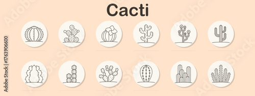 Cacti set icon. Rounded cactus, blooming cactus, segmented barrel, desert plant arms, spiked clusters, ribbed shapes, tall vertical types drawn with lined botanical cactus collection.