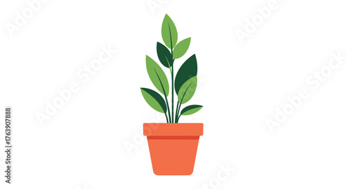 Green plant in a pot, growing indoors, healthy leaves.