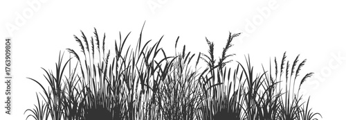Background with silhouettes of cattails and reeds.