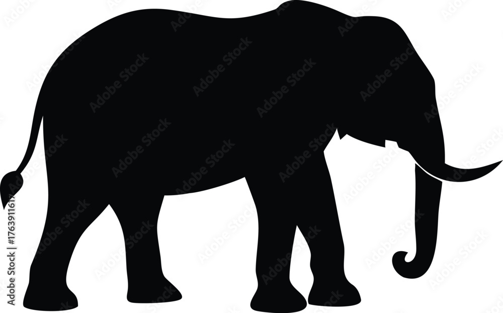 Fototapeta premium elephant vector illustration