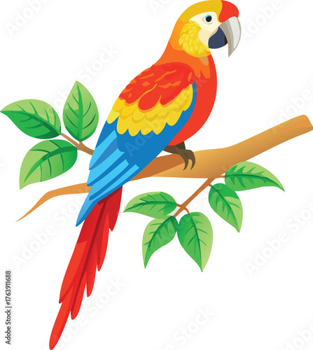 parrot on a branch