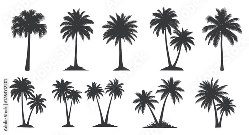 Palm tree silhouettes collection, various shapes and sizes, isolated.