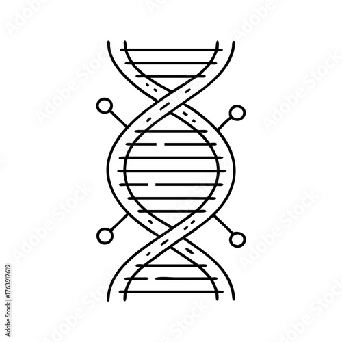 Vector art of stylized line art representation of a dna double helix structure with connecting nodes, symbolizing genetics and biotechnology