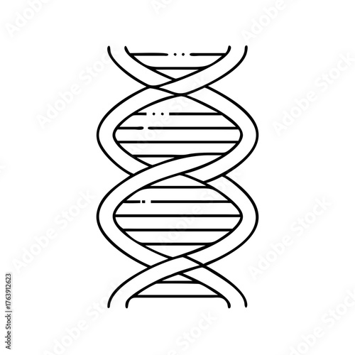 Vector art of a simple black and white line drawing of a dna double helix structure