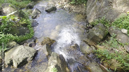 Tranquil Stream Flowing Over Rocks Surrounded by Lush Greenery in a Natural Setting