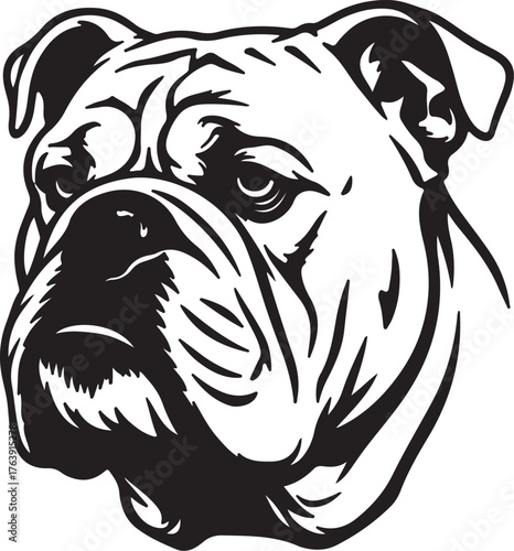 Black and white illustration of an English Bulldog's face with wrinkles on a white background animal on transparent background