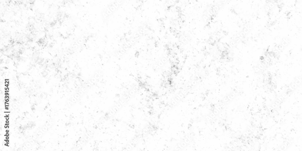 Obraz premium Concrete white Panorama blank rough wall for background. Abstract white stone concrete floor or old cement grunge background. crack white wall texture. 