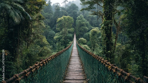 Fototapeta Naklejka Na Ścianę i Meble -  Wooden suspension bridge crosses dense misty jungle canopy surrounded by lush vegetation.