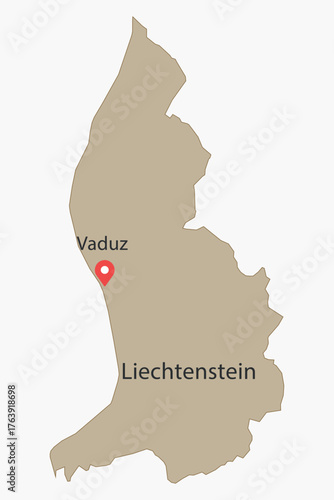 Vector graphic artwork suitable for print and web containing flat detailed map of LIECHTENSTEIN