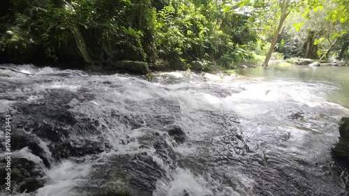 Serene Waterfall Surrounded by Lush Green Forest in a Tropical Paradise Setting