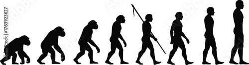 Tableau sur toile Human evolution silhouette from primate to modern man, walking progression, flat