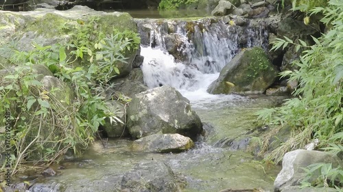 Tranquil Stream with Gentle Waterfall Surrounded by Lush Greenery and Scenic Rocks