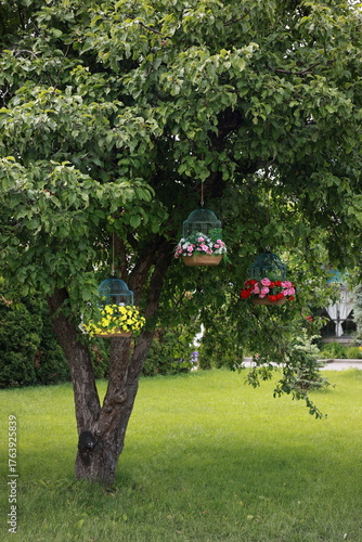 bird cages with colorful flowers hang on a tree