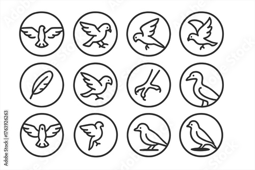 Bird Flight Icons. Line style round icons of flight precision: wingspan, landing, swoop, flap; feather flick, tail steer, claw