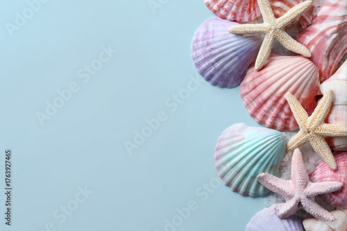 Colorful Seashells and Starfish Arranged on a Light Blue Background for a Coa...