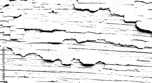 Close up of a wooden surface with peeling white paint creating a textured and weathered appearance isolated on transparent background