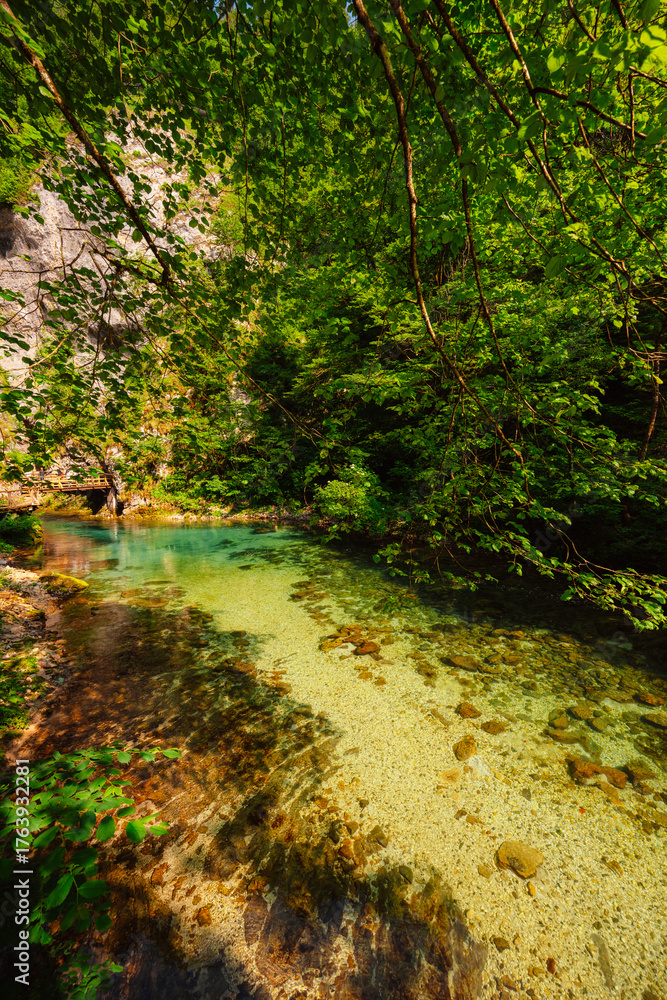 Obraz premium Wooden walkway through the Vintgar gorge near Bled lake in Slovenia, breathtaking views of the Radovna river