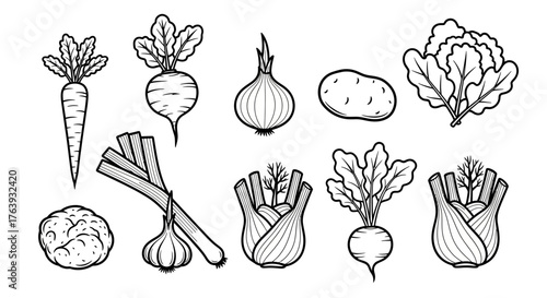Organic vegetables set: hand drawn black and white outlines of root and leafy veggies