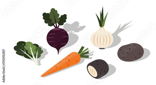Colorful vegetables in modern flat design: beetroot, carrot, onion, potato