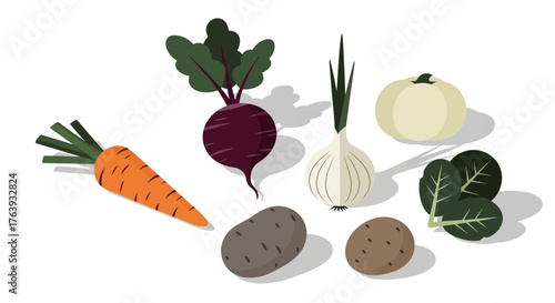 Fresh root vegetables and leafy greens in a modern flat style