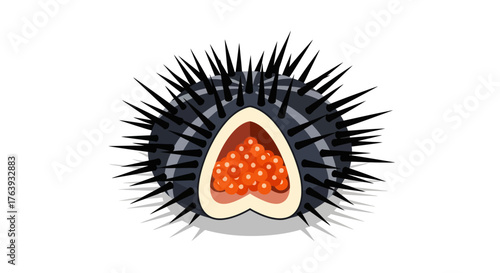 Sea urchin with open shell showing bright orange roe