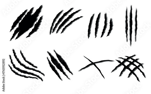Claws scratches isolated on white. Vector illustration.