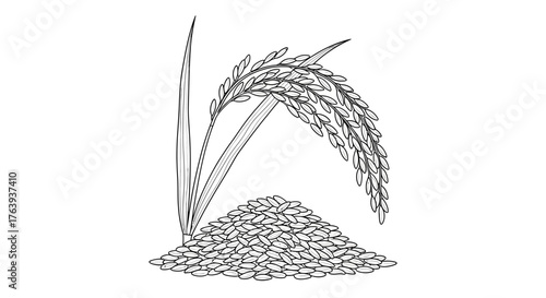 Linear drawing of rice plant with grains in minimalist style