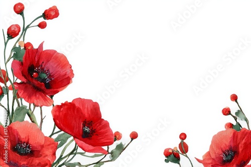 Colorful Red Poppies Creating a Vibrant Border for a Blank Space