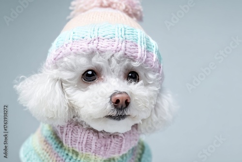 Cute Dog Wearing a Soft Knitted Hat and Sweater in Pastel Colors for a Cozy Look
