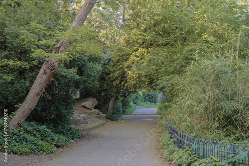 Battersea Park (power station) London, England - Peaceful view of trees on a cloudy day. 