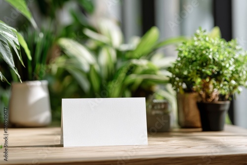 Table Setting With Blank Card Surrounded by Green Plants in Bright Sunlight