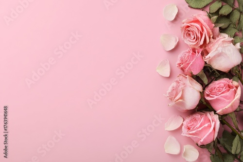 Pink Roses Arranged on a Soft Pink Background for Decoration or Celebration