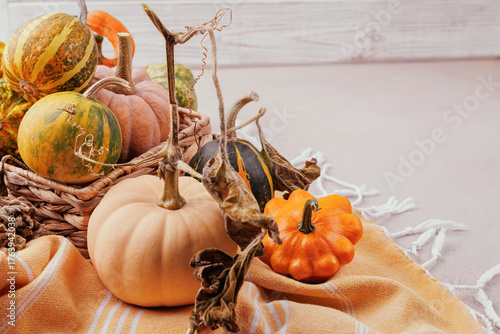 Assorted pumpkins and gourds on orange striped blanket with woven basket and soft background