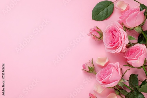 Fresh Pink Roses Arranged on a Soft Pink Background for a Delicate Floral Dis...