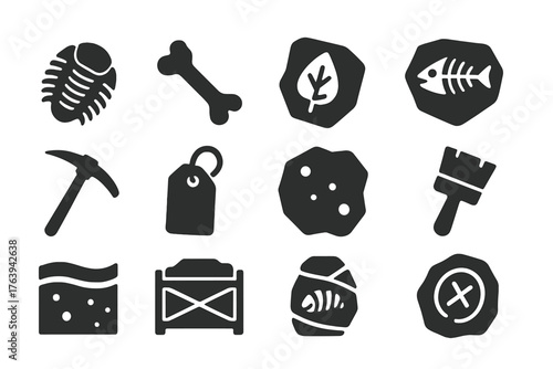 Fossil Discovery Icons. Solid style icons of Fossil Discovery: trilobite fossil, dinosaur bone, leaf impression, fish skeleton,