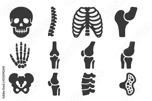 Solid Skeletal Anatomy Icons. Solid style icons of Skeletal Anatomy: skull front, spine curve, rib cage set, pelvis bone, hand