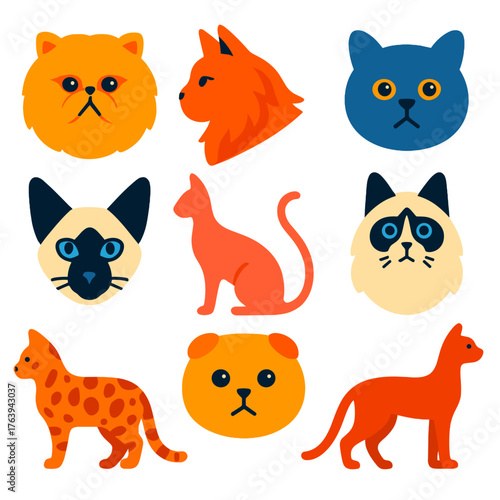 Cat Breed Icons. Flat vector icons of cat breeds: Persian cat face, Maine Coon profile, British Shorthair icon. Siamese cat with