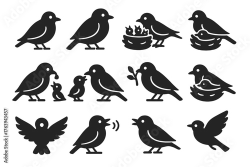 Bird Family Icons. Solid style icons of Bird Families: mother bird, father bird, chicks in nest, feeding chick, bird with twig,
