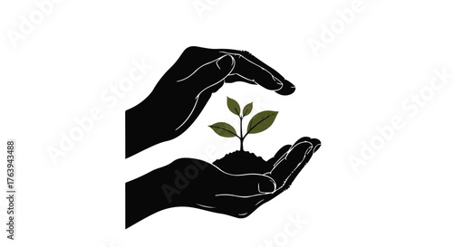 Nurturing hands protect a small green seedling growing from soil, symbolizing growth and new beginnings.