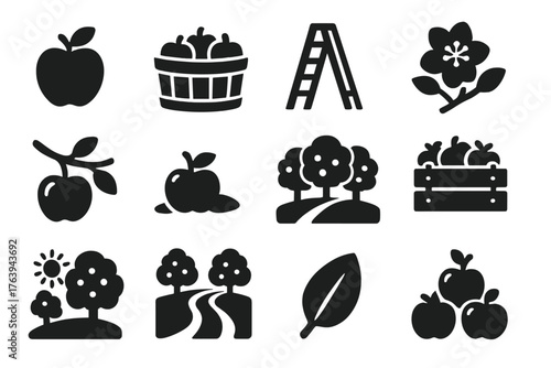Apple Orchard Icons. Solid style icons of Apple Orchard: ripe apple, wooden basket, orchard ladder, apple blossom, tree branch,