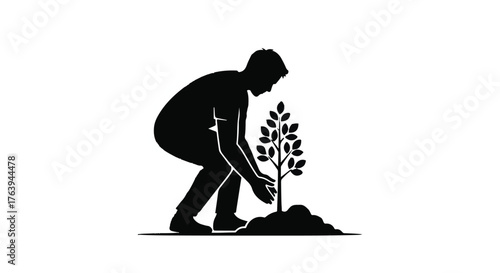 Person planting a small tree in fertile soil, symbolizing growth and sustainability