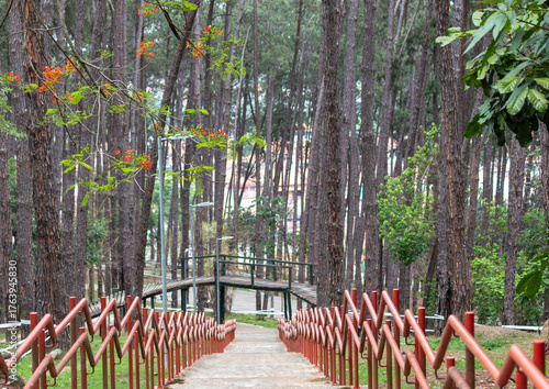Image taken at Alberto Simões Park in São José dos Campos, São Paulo, Brazil.	