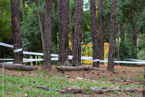 Image taken at Alberto Simões Park in São José dos Campos, São Paulo, Brazil.	